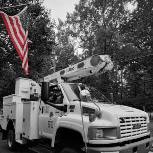 Photo of Patriot Tree Experts
