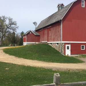 Photo of Bruentrup Heritage Farm