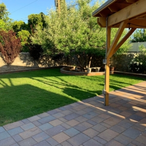 Photo of Daniel’s Tree & Landscaping