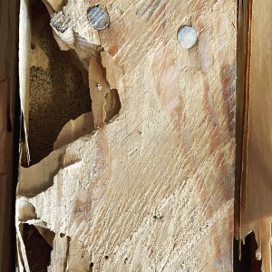 Photo of Structural Home Repairs