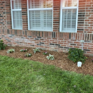 Photo of R&C Tree And Landscaping services