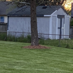 Photo of R&C Tree And Landscaping services