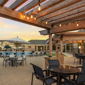 Photo of Copper Beech at San Marcos