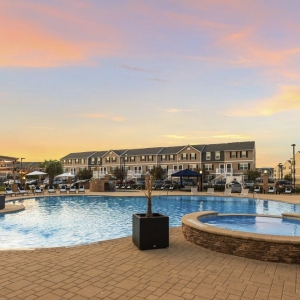 Photo of Copper Beech at San Marcos