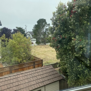 Photo of Morgan Glass and Window