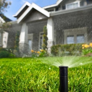 Photo of Artificial Rain