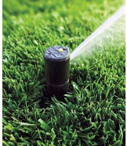 Photo of Artificial Rain