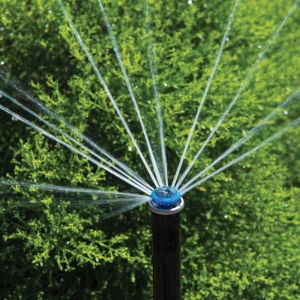 Photo of Artificial Rain