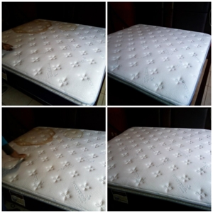 Photo of Shine Cleaners