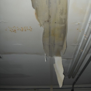 Photo of Disaster Cleanup & Repair