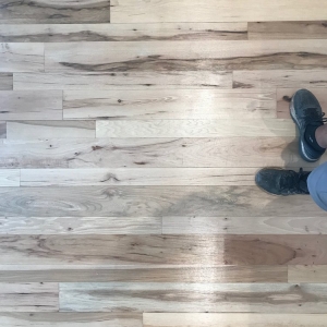 Photo of Ted Birmingham Floor Sanding and Finishing