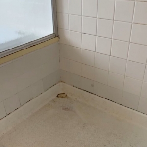 Photo of M&T Grout Experts