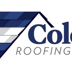 Photo of Colorado Roofing Solutions