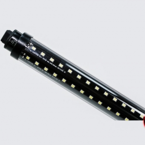 Photo of Led King