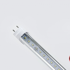 Photo of Led King