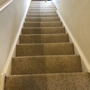 Photo of Conley's Carpet Cleaning Plus
