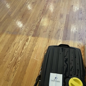 Photo of Conley's Carpet Cleaning Plus