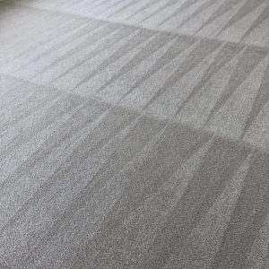 Photo of Conley's Carpet Cleaning Plus