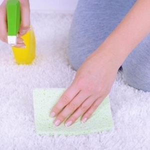 Photo of Angel Helping Hands Cleaning Services