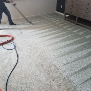 Photo of Carpet Tech Solutions