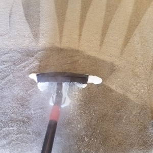 Photo of Carpet Tech Solutions