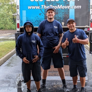 Photo of The Professionals Moving Specialists