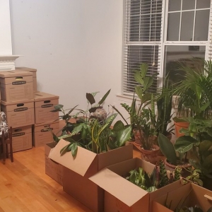 Photo of Carolina Moving , Packing & Storage INC.