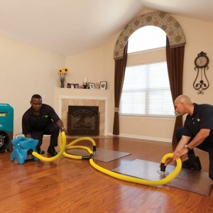 Photo of ServiceMaster of Lincoln Park
