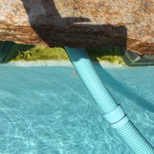 Bonita San Diego Poolworkers