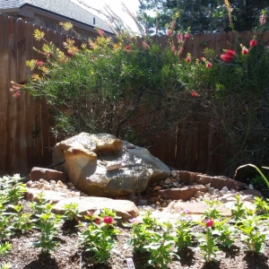 Photo of Double C Landscape