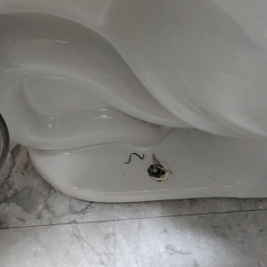 Photo of Mildred's Pennsylvania Cleaning Service