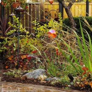 Photo of Insite Landscape Design Consulting