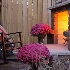 Photo of Insite Landscape Design Consulting