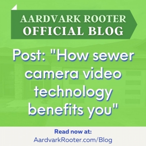 Photo of Aardvark Rooter