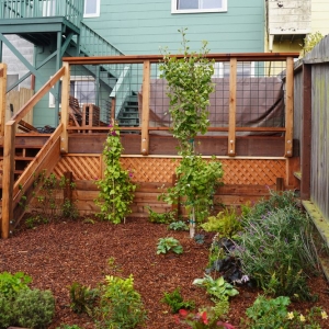 Photo of Small Spot Gardens