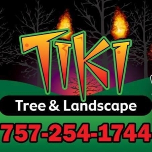 Photo of Tiki Tree and Landscape