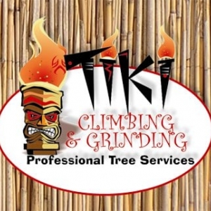 Photo of Tiki Tree and Landscape
