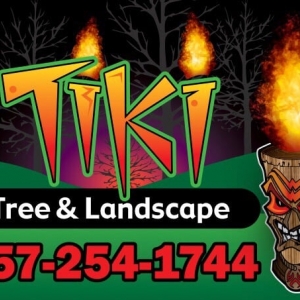 Photo of Tiki Tree and Landscape