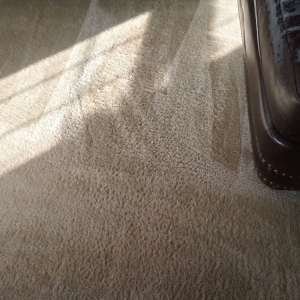 Photo of Kemet Carpet Cleaning