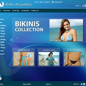 Photo of Final Web Design