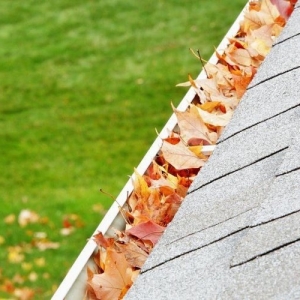 Photo of Guardian Gutter Protection