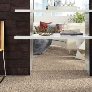 Photo of Best Value Carpet and Flooring