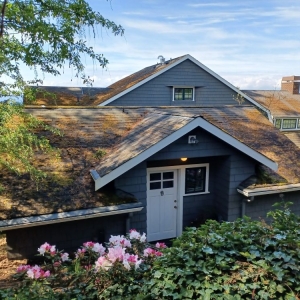 Photo of A TH Professional Roofing