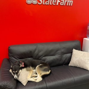 Photo of Ross Metcalf - State Farm Insurance Agent