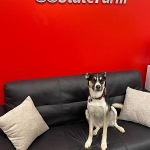 Photo of Ross Metcalf - State Farm Insurance Agent