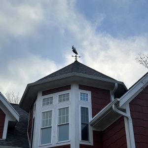 Photo of Dallas Roofing