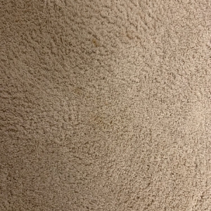 Photo of Complete Carpet Care