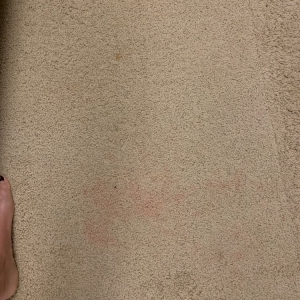 Photo of Complete Carpet Care