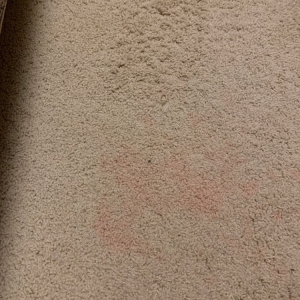 Photo of Complete Carpet Care