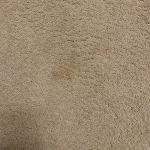 Photo of Complete Carpet Care